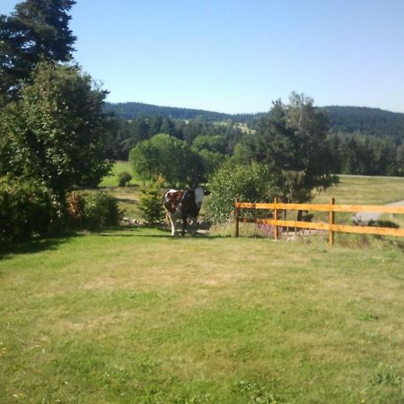Ressourcez Vous En Pleine Nature! Saint-Regis-du-Coin Exterior foto